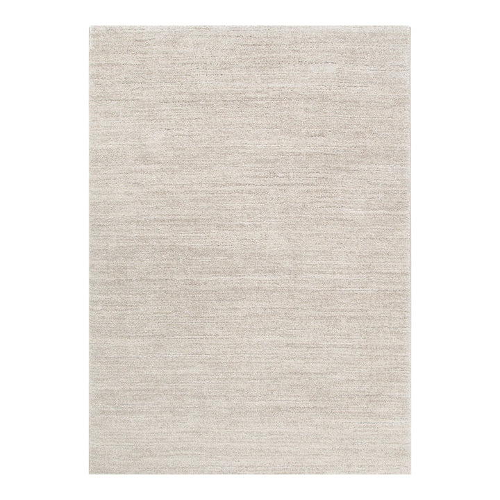 Dora Minimalist Tonal Beige Rug