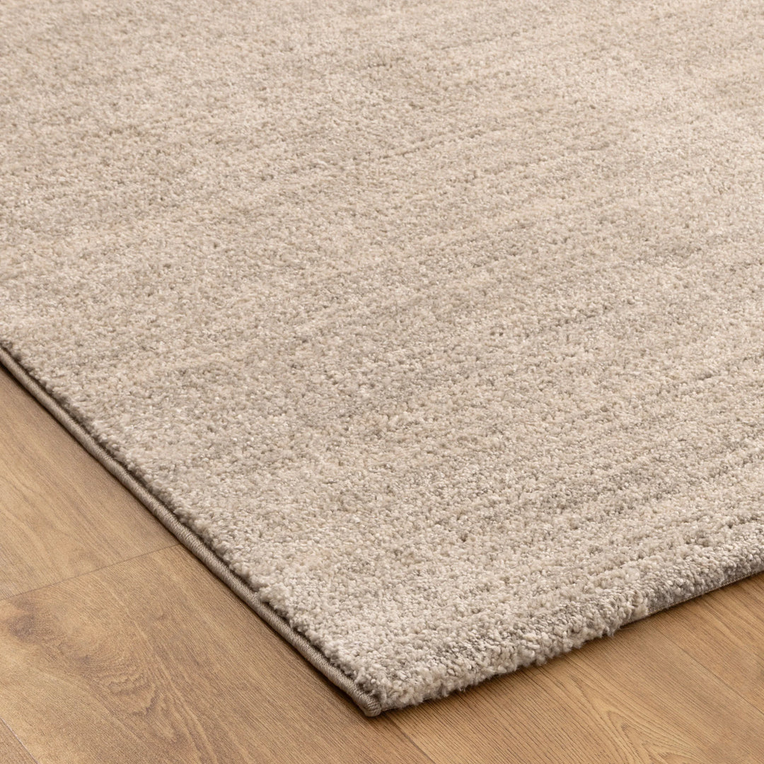 Dora Minimalist Tonal Beige Rug