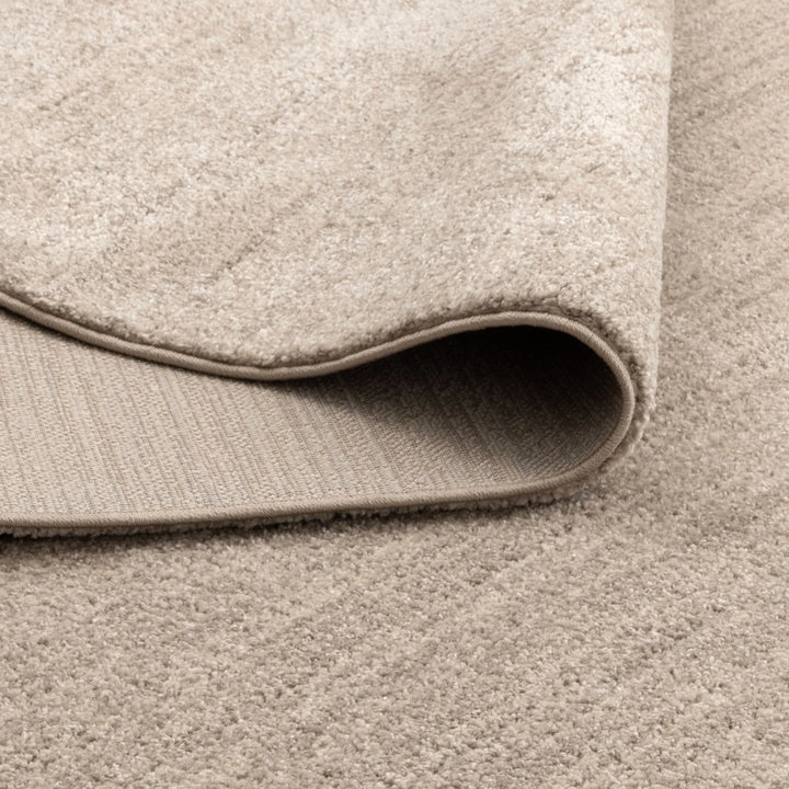 Dora Minimalist Tonal Beige Rug