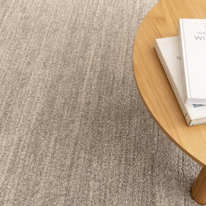 Dora Minimalist Tonal Beige Rug