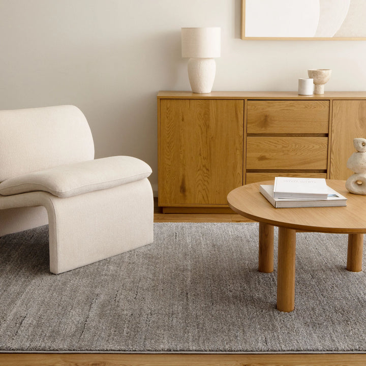 Dora Minimalist Tonal Grey Rug
