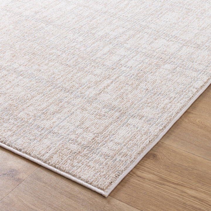 Yazd Distressed Lines Grey Beige Rug - TOS4