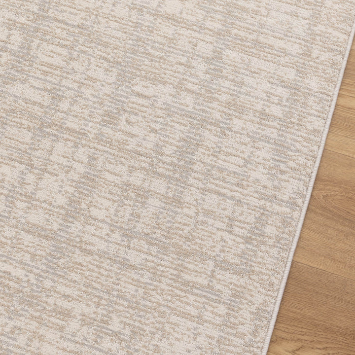 Yazd Distressed Lines Grey Beige Rug - TOS4
