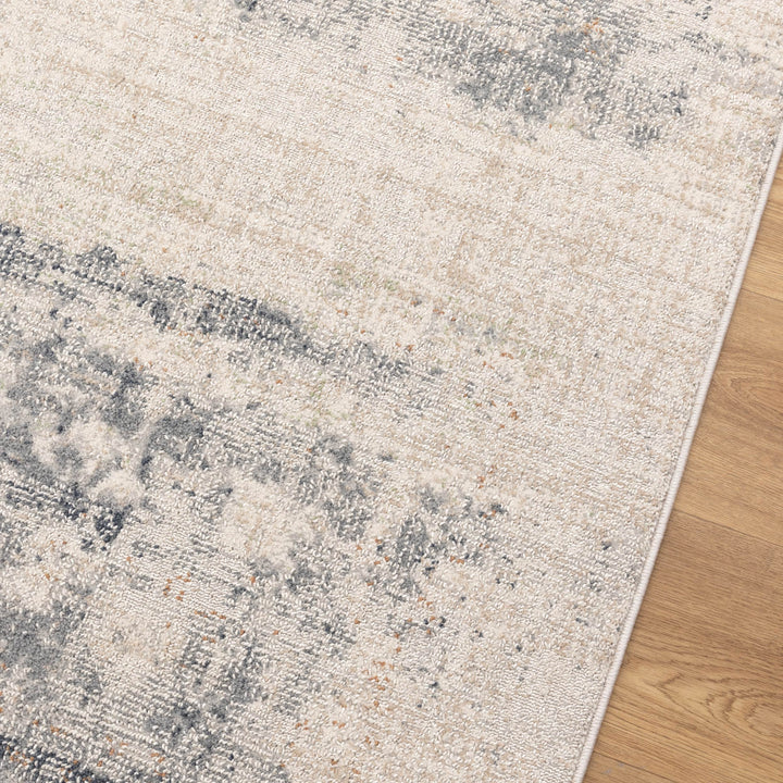 Yazd Distressed Splash Beige Blue Rug TOS5